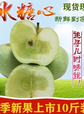 印度青苹果正宗老式新鲜水果纯甜绿苹果冰糖果心好吃现摘10斤