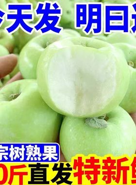 现摘新鲜青苹果当季脆甜可口小青苹果水果新鲜苹果9斤绿苹果3/5