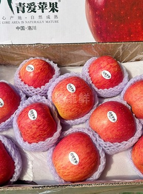 青爱洛川苹果 14斤装 新鲜水果红富士 颜色好看口感脆甜 青怡出品