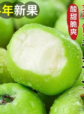 【朱丹推荐】山西青苹果4.5斤装新鲜水果应季绿苹果整箱包邮