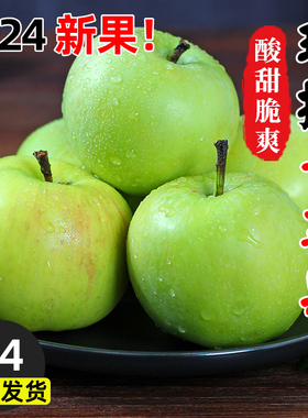 陕西青苹果10斤水果新鲜应当季丑萍果整箱红孕妇冰糖心富士5包邮