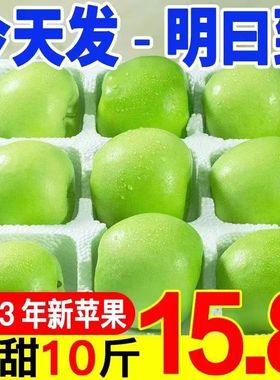 【疯抢】山西青苹果水果当季现摘应季酸甜孕妇水果绿色水果不打蜡