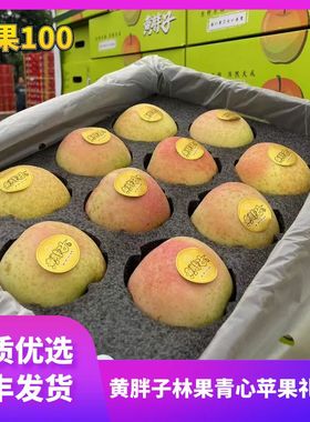 黄胖子林果青心青苹果4.8斤礼盒装新鲜水果顺丰包邮