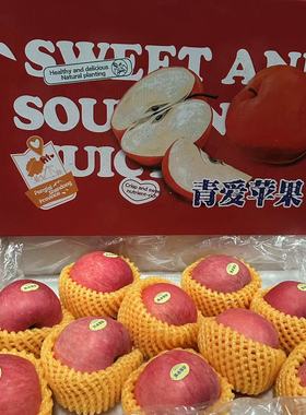 陕西洛川青爱苹果 原箱约6斤9-12个 新鲜红富士甜脆当季苹果水果
