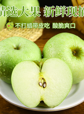山西青苹果新鲜水果10斤整箱当季现摘酸脆孕妇绿苹果应季时令玉林