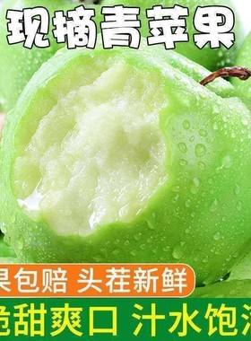新鲜青苹果酸甜爽口小青果孕妇水果绿色新鲜水果苹果冰糖心青皮果