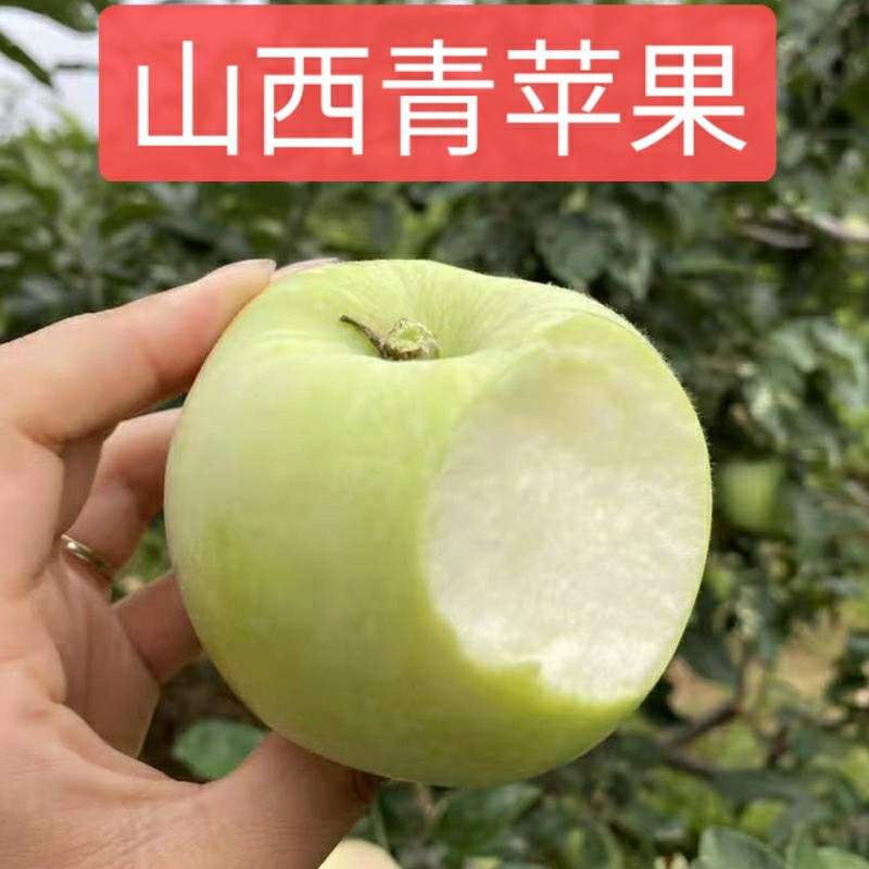 山西运城青苹果青富士水果新鲜脆甜苹果应季时令非昭通丑苹果