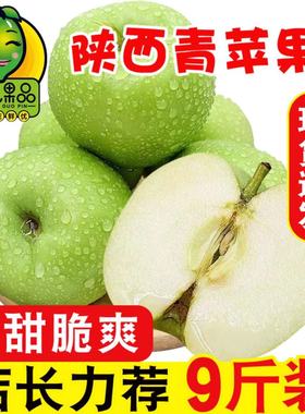 新鲜青苹果10斤水果新鲜青苹果应当季酸甜孕妇脆甜苹果整箱