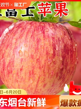 山东烟台红富士苹果新鲜水果整箱栖霞10萍果脆甜青丑平果直发食品