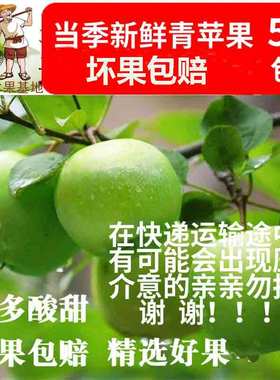 【现货发货快】青苹果5斤水果苹果包邮新鲜酸脆现摘现发孕妇苹果