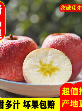 新鲜红富士冰糖心苹果10斤装应当季水果现摘青脆甜丑平果整箱