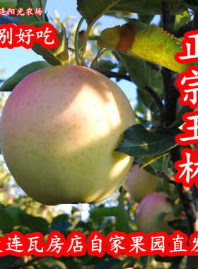 大连红脸王林苹果青苹果香甜脆日本青森水果净重5斤