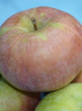 密云农家丑苹果正宗老树国光小苹果 酸甜可口儿时味道新鲜水果3斤