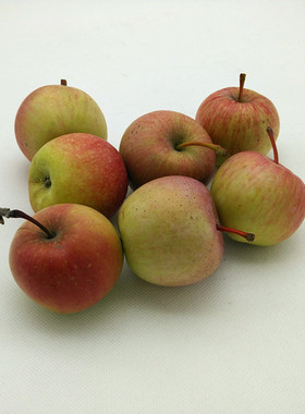 东北长白山特产国光苹果 小国光苹果 新鲜水果 2500g  5斤包邮