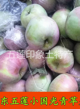 山东省正宗五莲小国光苹果老树绿色新鲜水果酸甜丑苹果孕妇五斤包