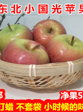 东北国光苹果笨果5斤装包邮 辽宁特产新鲜水果非烟台小红富士包邮