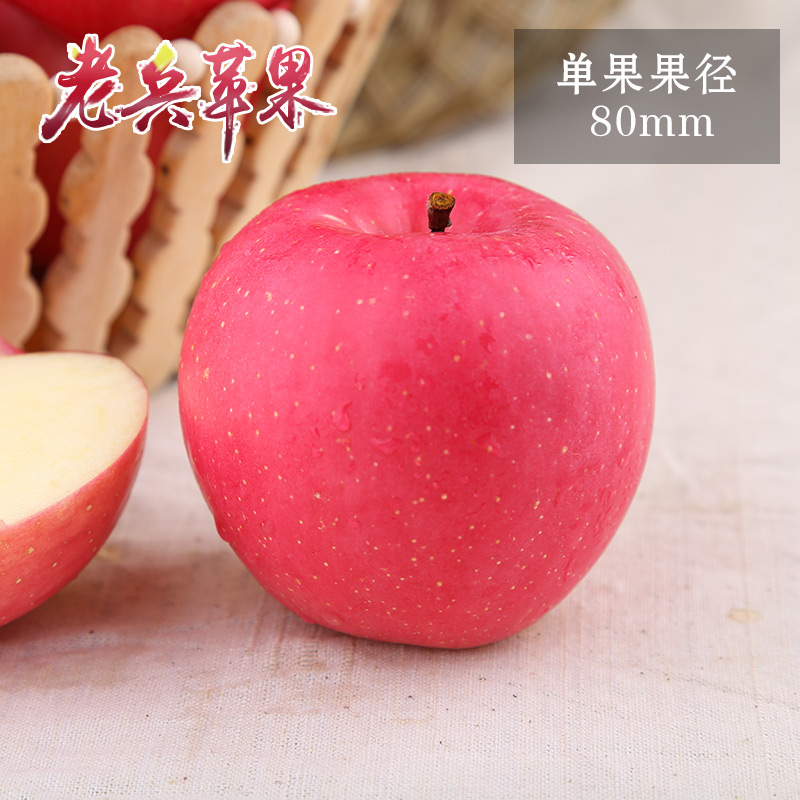 静宁水晶红富士苹果脆甜水分足不催熟水果产地直供爽口尝鲜果13斤