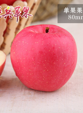 静宁水晶红富士苹果脆甜水分足不催熟水果产地直供爽口尝鲜果13斤