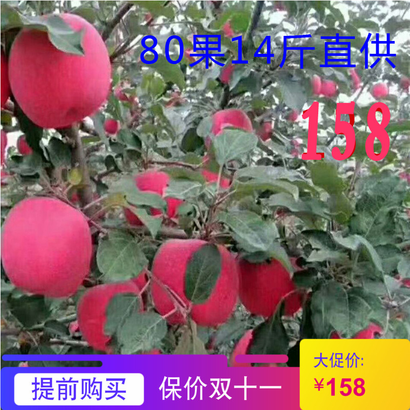 静宁红富士苹果来自大山深处野生新鲜水果冰糖心脆甜鲜水分足14斤