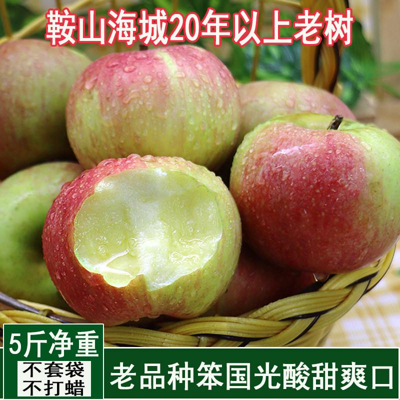东北国光苹果5斤水果新鲜当季整箱脆甜应季大苹果平果老品种老树