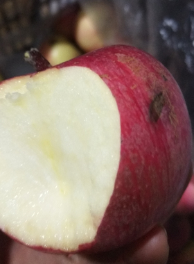 国光苹果5斤脆水果新鲜丑果应季鲜果现摘整箱坏果苹果果光苹果