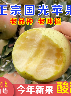 正宗山东国光苹果新鲜水果当季孕妇酸甜老品种小国光苹果笨果整箱