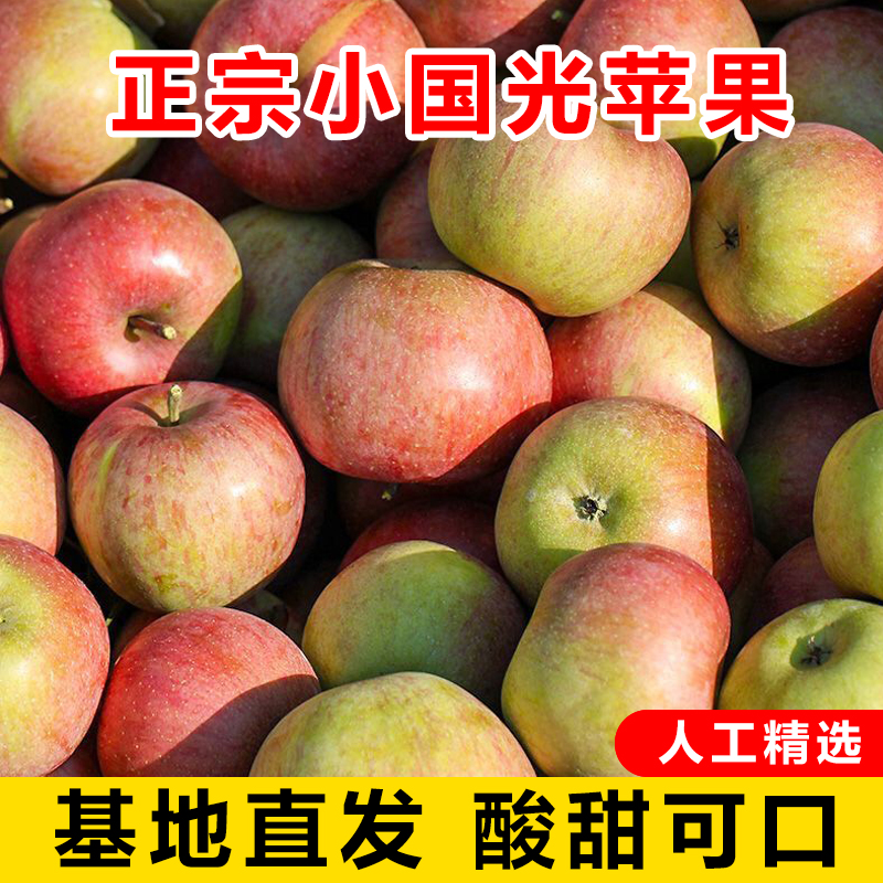 山东国光苹果新鲜水果当季整箱孕妇酸甜应季小苹果老品种国光精选