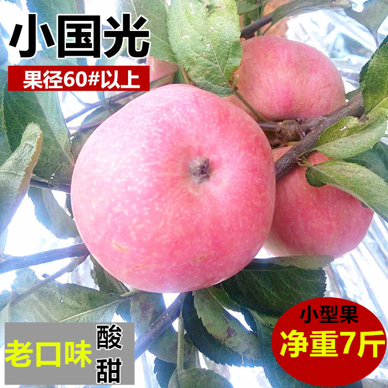 瑕疵果国光苹果酸甜小苹果大连瓦房店农家自产应季当季水果7斤