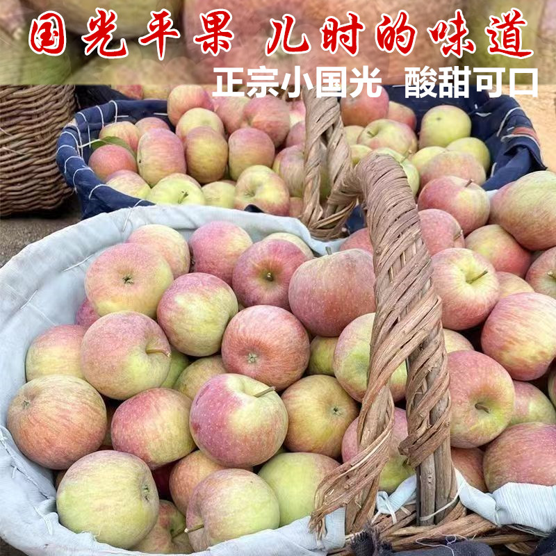 北京正宗小国光苹果酸甜可口老品种国光多汁苹果当季孕妇水果