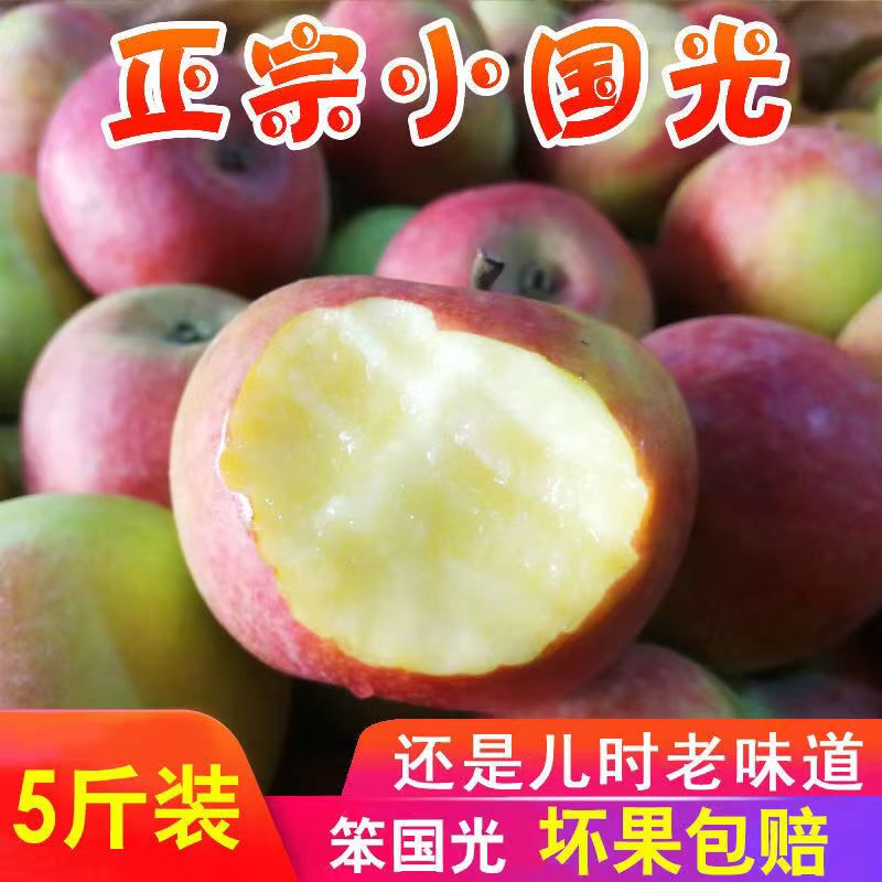 国光苹果东北小国光平果批发酸甜水果果光青苹果小苹果儿时味道10