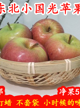 东北国光苹果笨果5斤装 辽宁特产新鲜水果非烟台小红富士
