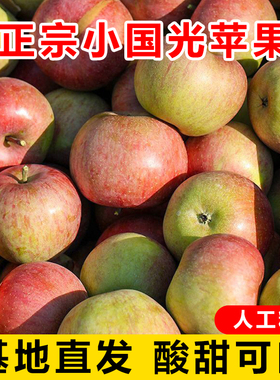 山东国光苹果新鲜水果当季整箱孕妇酸甜应季小苹果老品种国光精选