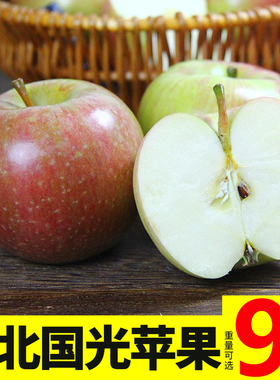 正宗老品种国光苹果水果新鲜整箱应当季脆甜东北小2023年现摘10斤