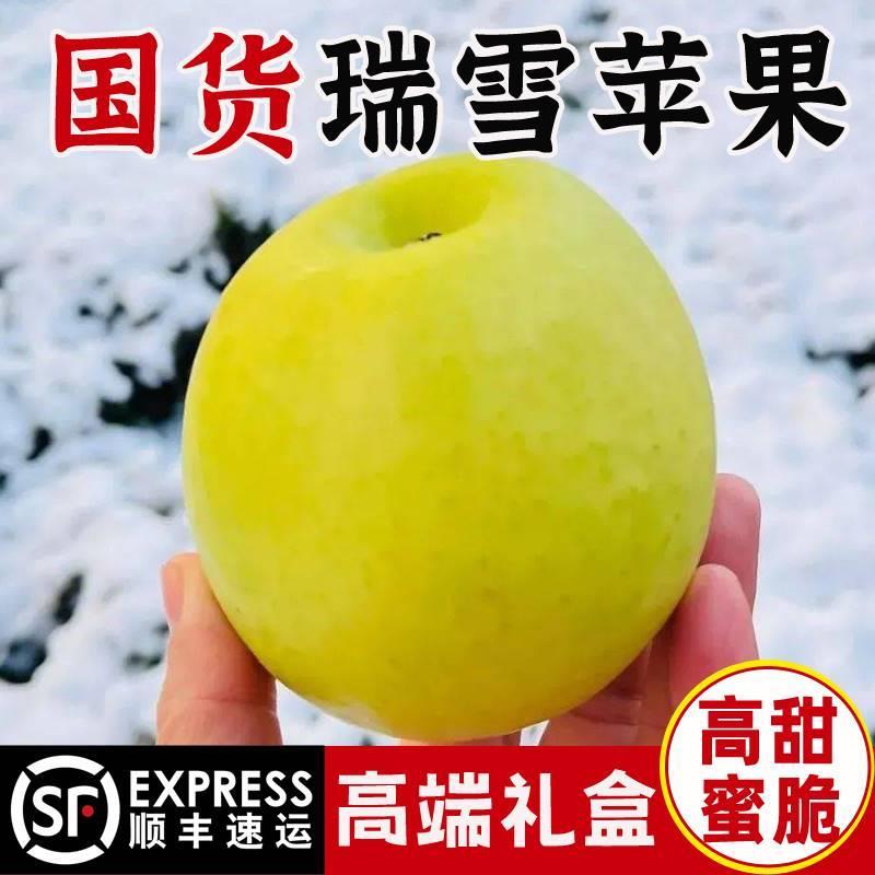 陕西白水瑞雪苹果新鲜水果国光脆甜纯甜青苹高端礼盒玫瑰香apple