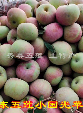 山东省正宗五莲小国光苹果老树绿色水果酸甜丑面苹果孕妇五斤