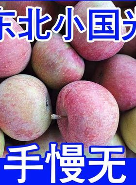 正宗国光苹果新鲜水果应季农家不打蜡酸甜老树纯大国光水果光5斤