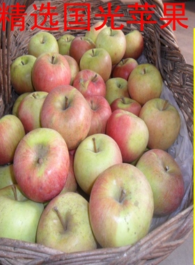 精选正宗国光苹果新鲜水果小国光酸甜脆农产品特产5斤装