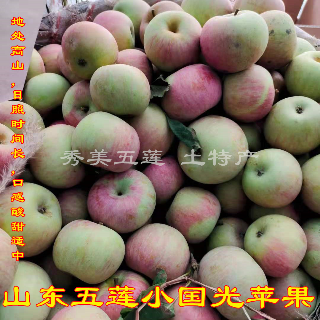 山东省正宗五莲小国光苹果老树绿色水果酸甜丑面苹果孕妇五斤