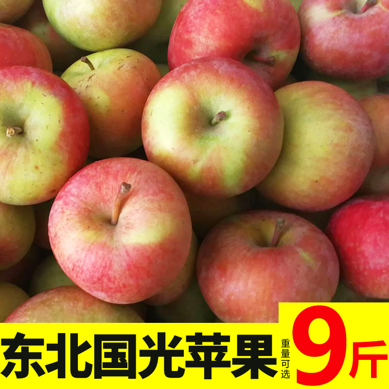 小国光苹果新鲜水果正宗东北辽宁瓦房店不打蜡不套袋笨果5斤
