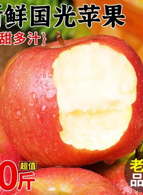 新鲜国光苹果10斤装当季水果整箱东北小国光苹果笨果非红富士