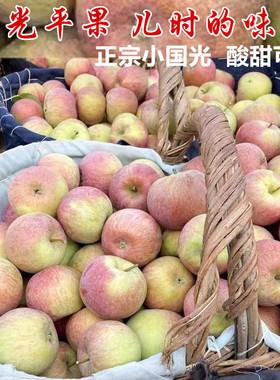 北京正宗小国光苹果酸甜可口老品种国光多汁苹果当季孕妇水果