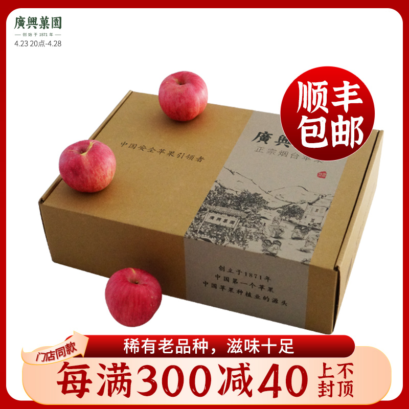 广兴果园小国光山东烟台栖霞苹果酸甜新鲜水果礼盒65mm迷你15颗