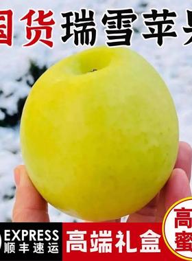 陕西白水瑞雪苹果新鲜水果国光脆甜纯甜青苹高端礼盒玫瑰香apple