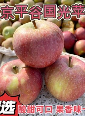 苹果北京平谷区正宗老树小国光苹果酸甜可口小时候的味道当季水果
