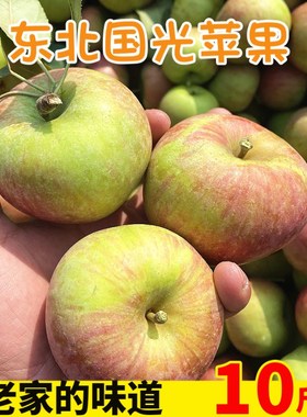 正宗国光小苹果东北瓦房店盖县特产新鲜水果非红富士寒富苹果酸甜
