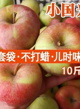 国光苹果5斤10斤新鲜水果东北特产小国光酸脆甜不套袋不打蜡