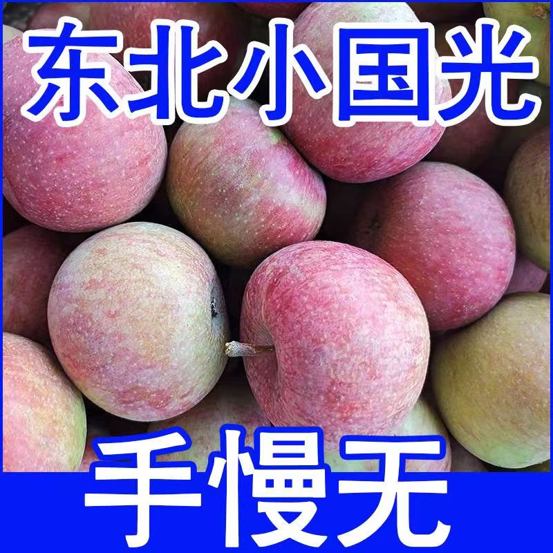 正宗国光苹果新鲜水果应季农家不打蜡酸甜老树纯大国光水果光5斤