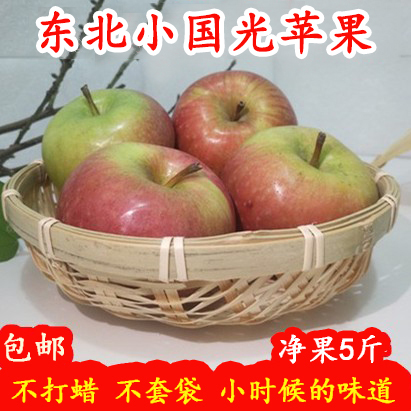 东北国光苹果笨果5斤装 辽宁特产新鲜水果非烟台小红富士