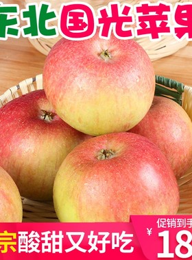 东北国光苹果新鲜正宗小国光特产农家青苹果孕妇开胃水果酸甜