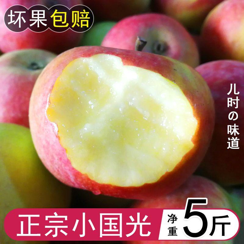 五莲小国光苹果酸甜脆新鲜苹果 水果正宗老式国光3斤国光5斤10斤